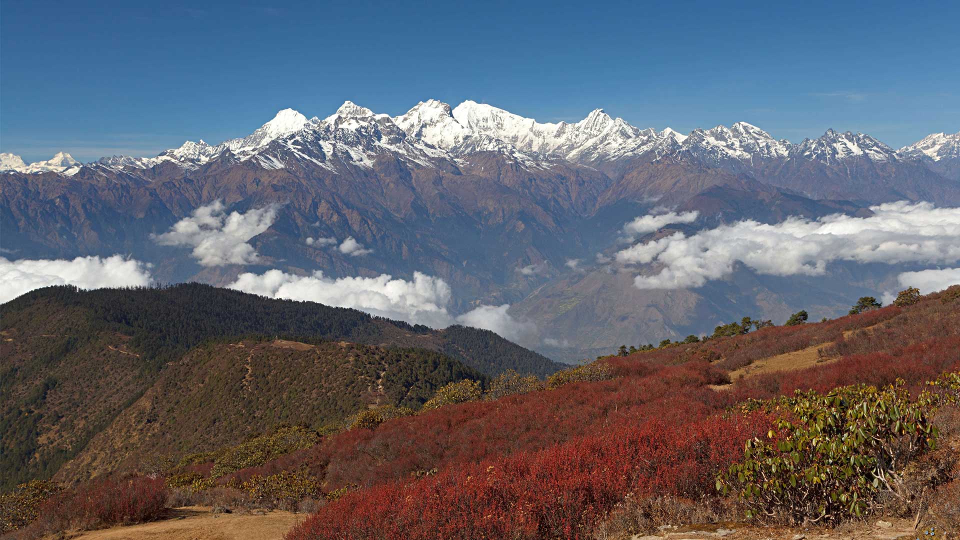 Singla Pass Trekking -05 days